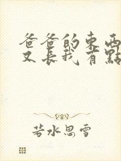 爸爸的东西又大又长我有点疼