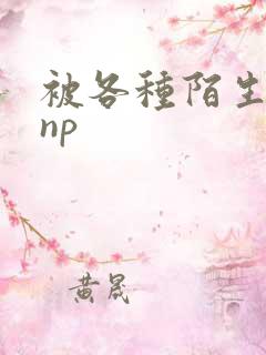 被各种陌生人 np