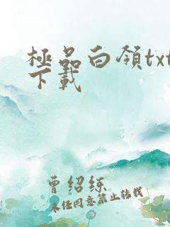 极品白领txt下载