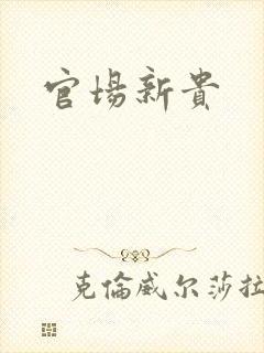 官场新贵