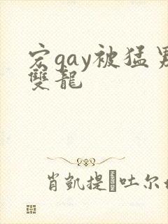 宏gay被猛男双龙