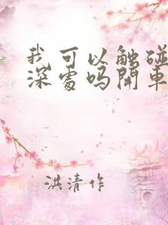 我可以触碰你的深处吗开车作文