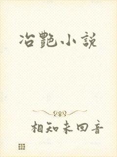冶艳小说