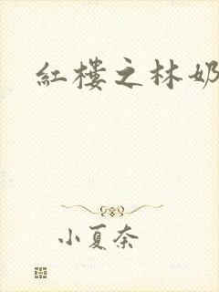 红楼之林奶奶