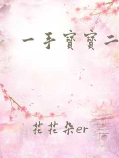 一手宝宝二手妻