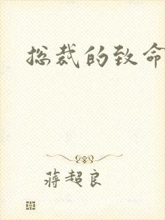 总裁的致命罪妻