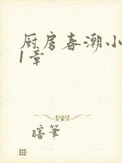 厨房春潮小说第1章