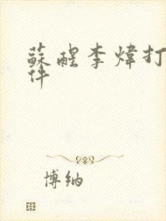 苏醒李炜打架事件