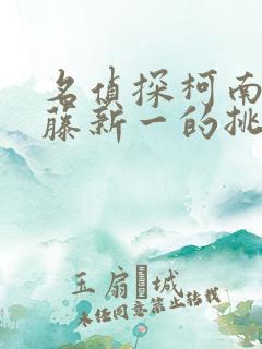 名侦探柯南给工藤新一的挑战书