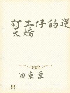 打工仔的逆袭楚天娇