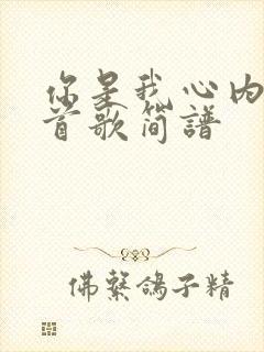 你是我心内的一首歌简谱