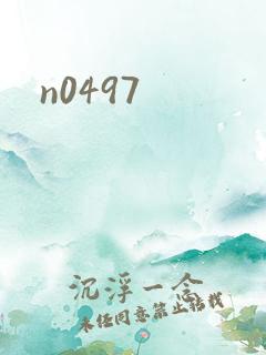 n0497