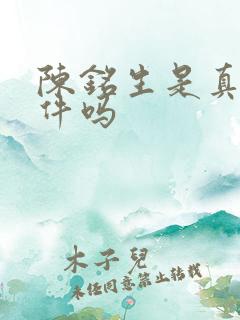 陈铭生是真实事件吗