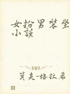 女扮男装坐江山小说