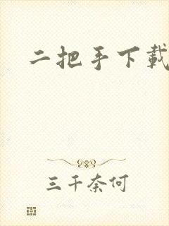 二把手下载