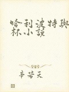 哈利波特与火焰杯小说