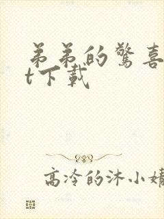 弟弟的惊喜txt下载