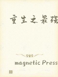 重生之最强法师