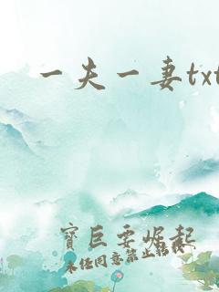 一夫一妻txt