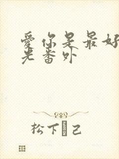 爱你是最好的时光番外