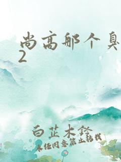 尚高那个臭小子2