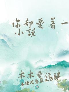 你却爱着一个他 小说