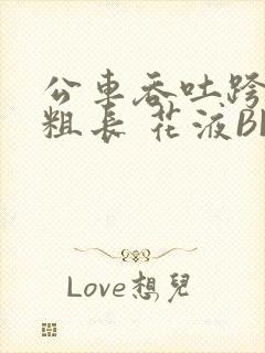 公车吞吐跨坐 粗长 花液BL