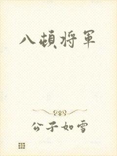 八顿将军