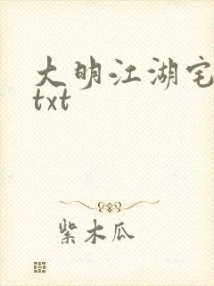 大明江湖宅女记txt