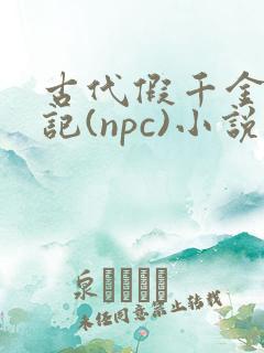 古代假千金挨日记(npc)小说
