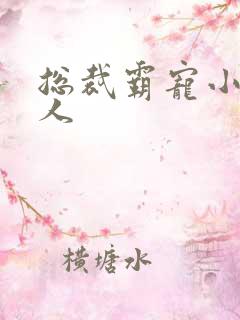 总裁霸宠小小女人