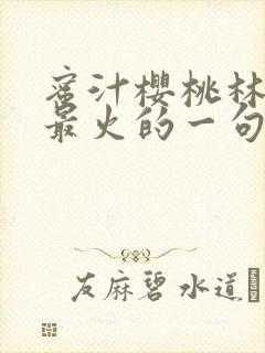 蜜汁樱桃林妙妙最火的一句