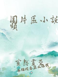 图片区小说区视频