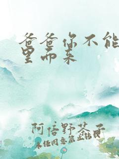 爸爸你不能谢在里面来