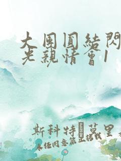 大团圆结闪闪发光亲情会1