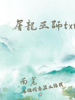 屠龙巫师txt