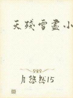 天残雪尽小说