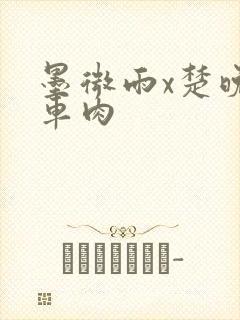 墨微雨x楚晚宁车肉