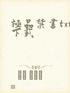 极品禁书txt下载