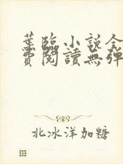 叶临小说全文免费阅读无弹窗