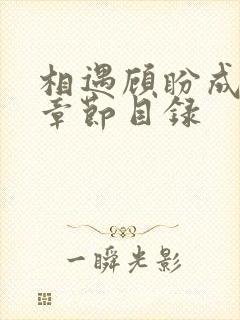 相遇顾盼成欢全章节目录