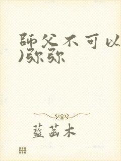 师父不可以(限)弥弥