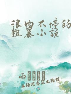 很肉不停的做很粗暴小说