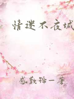 情迷不夜城