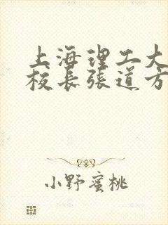 上海理工大学副校长张道方逝世