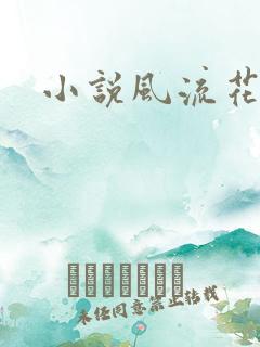 小说风流花少