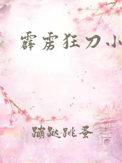 霹雳狂刀小说