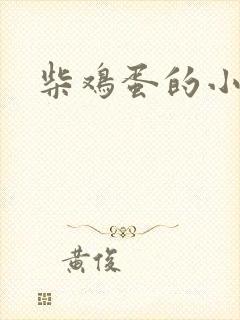柴鸡蛋的小说
