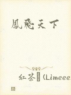 凤飞天下