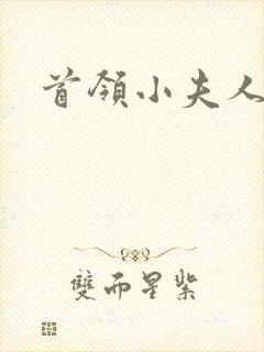 首领小夫人